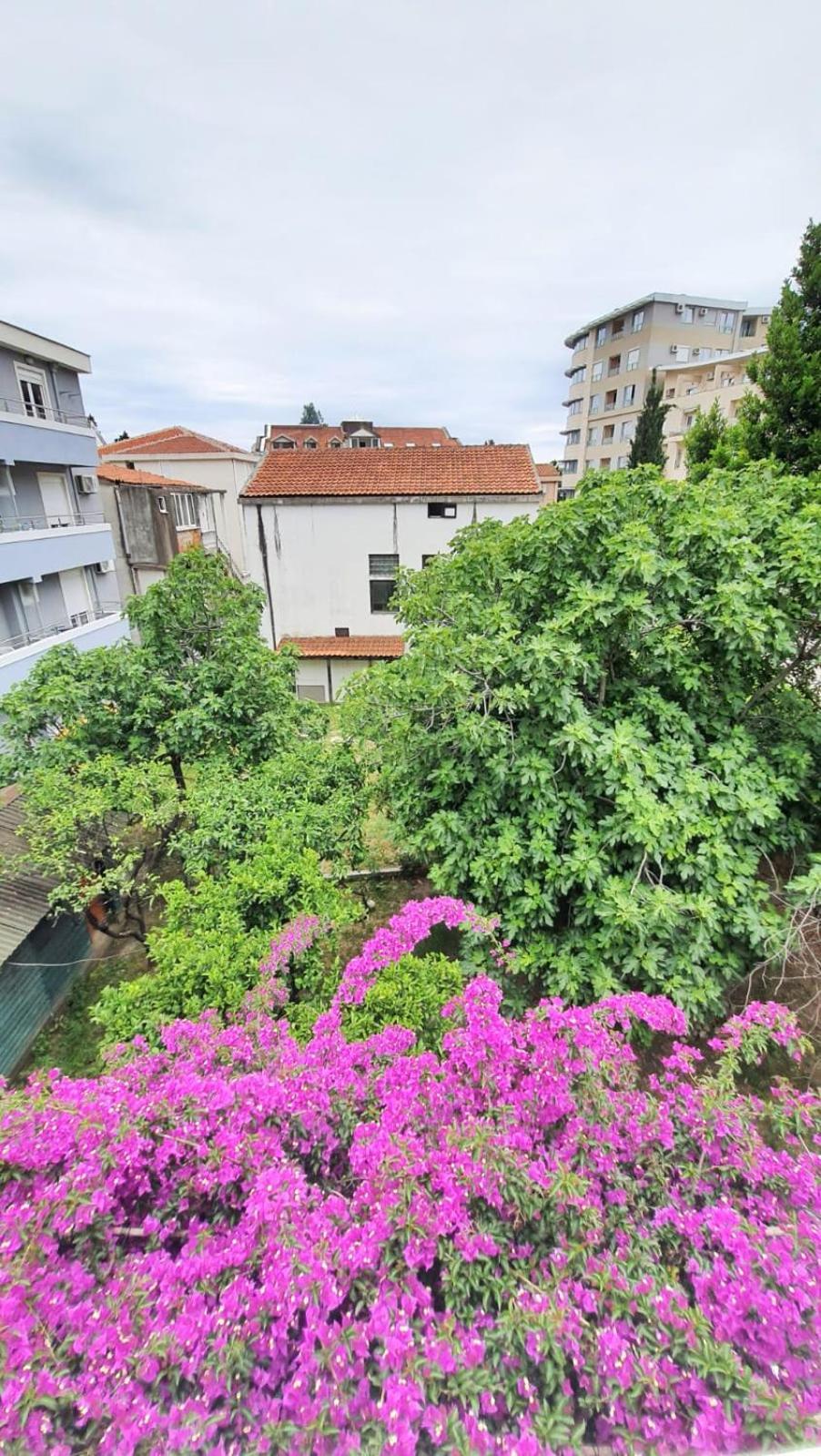 Vojinovic Apartments Μπούντβα Δωμάτιο φωτογραφία